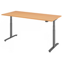 XDLR 19 G | 180x80 | Schreibtisch elektrisch höhenverstellbar - buerostuhl24