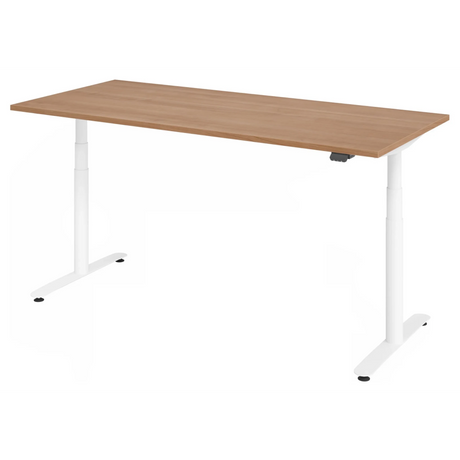 XDLR 19 W | 180x80 | Schreibtisch elektrisch höhenverstellbar - buerostuhl24