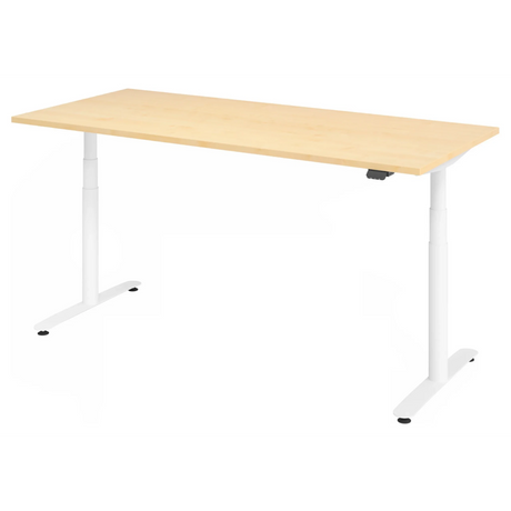XDLR 19 W | 180x80 | Schreibtisch elektrisch höhenverstellbar - buerostuhl24
