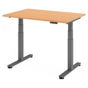 XDSM 12 G | 120x80 | Bureau elektrisch in hoogte verstelbaar 