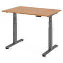 XDSM 12 G | 120x80 | Bureau elektrisch in hoogte verstelbaar 