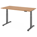 XDSM 16 G | 160x80 | Bureau elektrisch in hoogte verstelbaar 