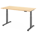 XDSM 16 G | 160x80 | Bureau elektrisch in hoogte verstelbaar 