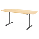 XDSM 22 G | 220x103 | Bureau elektrisch in hoogte verstelbaar 