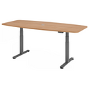 XDSM 22 G | 220x103 | Bureau elektrisch in hoogte verstelbaar 