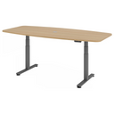 XDSM 22 G | 220x103 | Bureau elektrisch in hoogte verstelbaar 