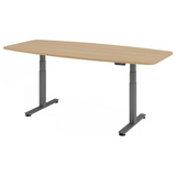 XDSM 22 G | 220x103 | Bureau elektrisch in hoogte verstelbaar 