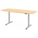 XDSM 22 S | 220x103 | Bureau elektrisch in hoogte verstelbaar 