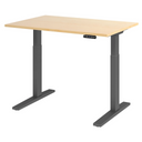 XMKA 12 G | 120x80 | Bureau elektrisch in hoogte verstelbaar 