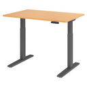 XMKA 12 G | 120x80 | Bureau elektrisch in hoogte verstelbaar 