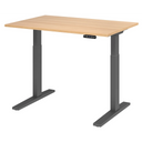 XMKA 12 G | 120x80 | Bureau elektrisch in hoogte verstelbaar 