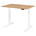 XMKA 12 W | 120x80 | Bureau elektrisch in hoogte verstelbaar 