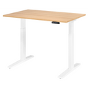 XMKA 12 W | 120x80 | Bureau elektrisch in hoogte verstelbaar 