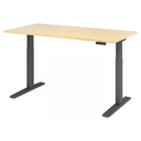 XMKA 16 G | 160x80 | Bureau elektrisch in hoogte verstelbaar 