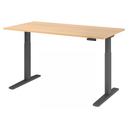 XMKA 16 G | 160x80 | Bureau elektrisch in hoogte verstelbaar 