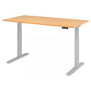 XMKA 16 S | 160x80 | Bureau elektrisch in hoogte verstelbaar 