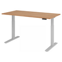 XMKA 16 S | 160x80 | Bureau elektrisch in hoogte verstelbaar 