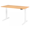 XMKA 16 W | 160x80 | Bureau elektrisch in hoogte verstelbaar 