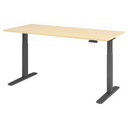 XMKA 19 G | 180x80 | Bureau elektrisch in hoogte verstelbaar. 