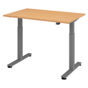 XMST 12 G | 120x80 | Bureau elektrisch in hoogte verstelbaar 