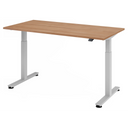 XMST 16 S | 160x80 | Bureau elektrisch in hoogte verstelbaar 