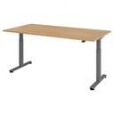 XMST 2E G | 200x100 | Bureau elektrisch in hoogte verstelbaar 