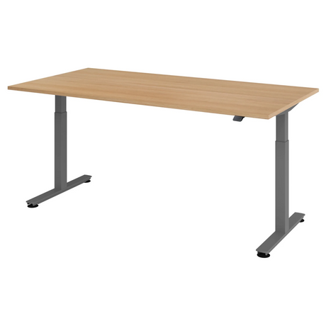 XMST 2E G | 200x100 | Schreibtisch elektrisch höhenverstellbar - buerostuhl24