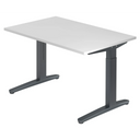 XTRA XB 12 GG | 120x80 | Bureau hoogte verstelbaar 