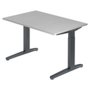 XTRA XB 12 GG | 120x80 | Bureau hoogte verstelbaar 
