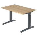 XTRA XB 12 GG | 120x80 | Bureau hoogte verstelbaar 