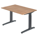 XTRA XB 12 GG | 120x80 | Bureau hoogte verstelbaar 