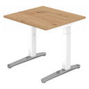 XTRA XB 8 WC | 80x80 | Bureau hoogte verstelbaar 
