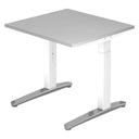 XTRA XB 8 WC | 80x80 | Bureau hoogte verstelbaar 