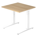 XTRA XB 8 WW | 80x80 | Bureau hoogte verstelbaar 