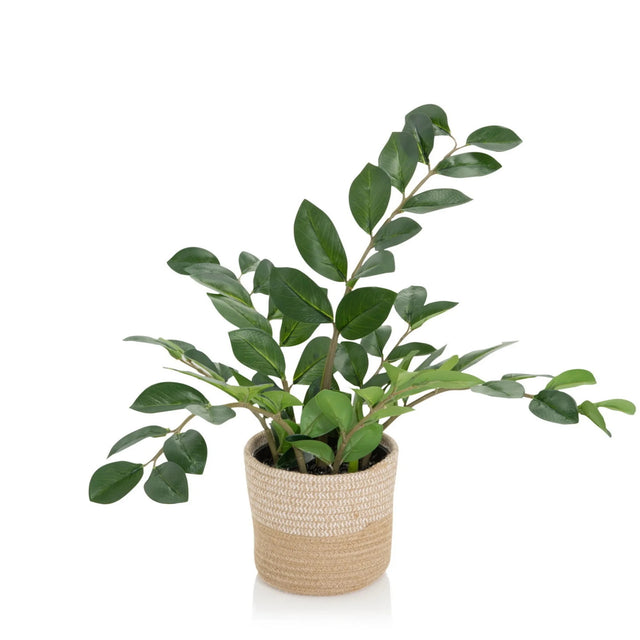 Kunstplant ZAMIE in groene kleur met een gevlochten overpot van natuurmateriaal van hjh OFFICE
